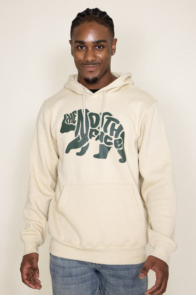 North face men's store bearitage hoodie