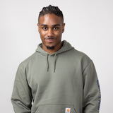 Carhartt Loose Fit Graphic Hoodie for Men in Dusty Olive