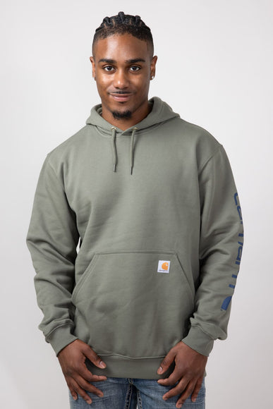 Carhartt Loose Fit Graphic Hoodie for Men in Dusty Olive