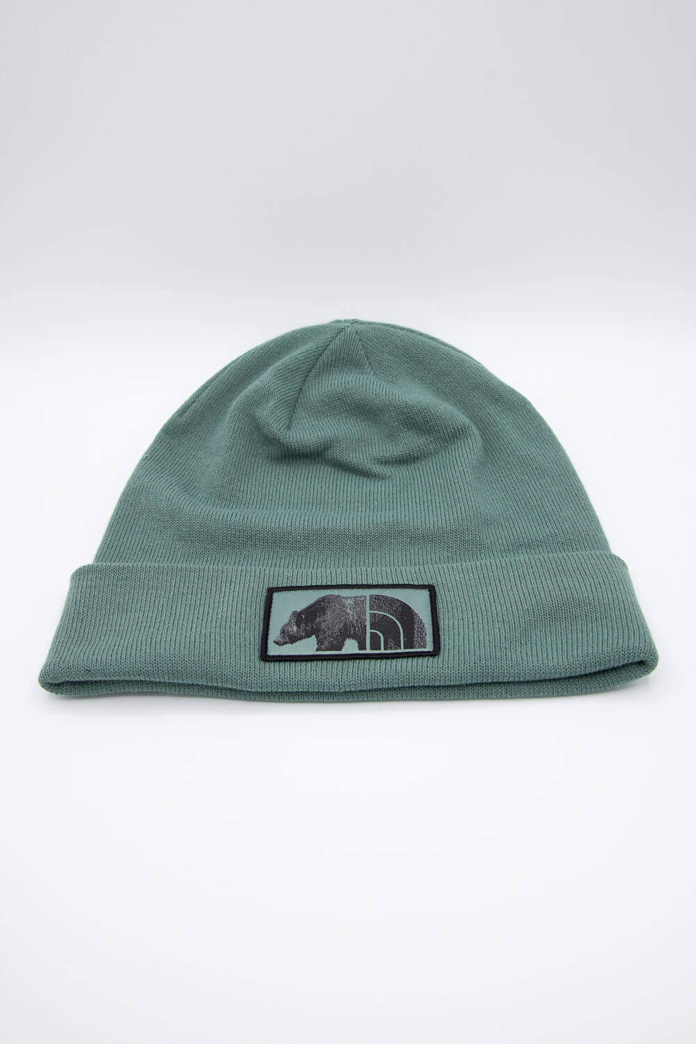 The North Face Dock Worker Recycled Beanie in Sage | NF0A3FNT-OFE