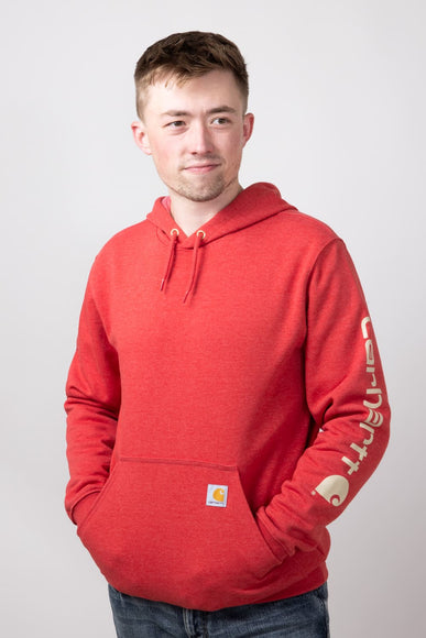 Carhartt Loose Fit Graphic Hoodie for Men in Apple