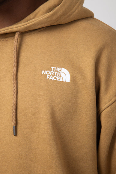 The North Face Evolution Vintage Hoodie for Men in Brown