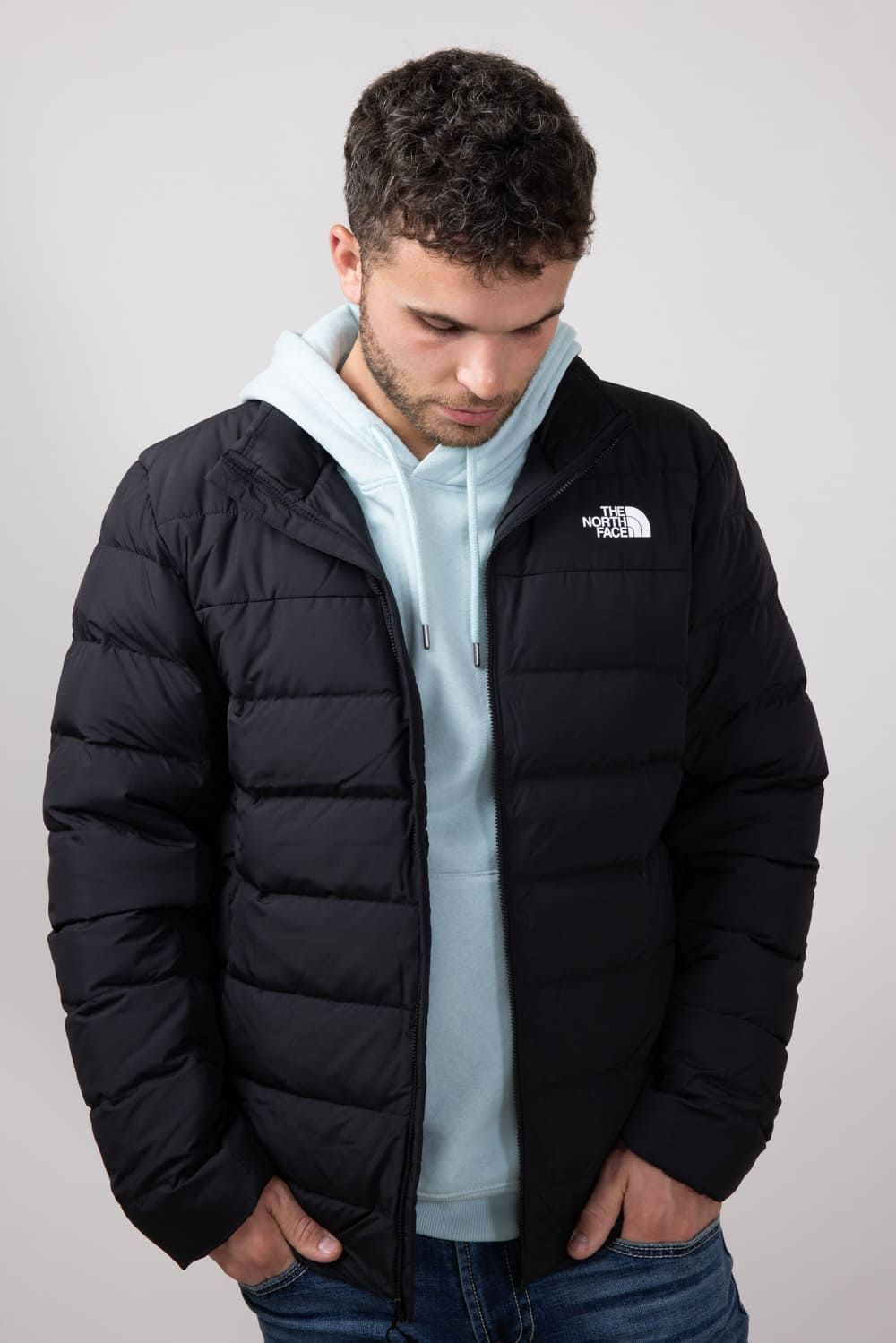 North face jacket with fur hood mens best sale