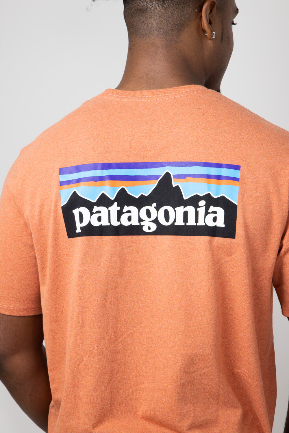 Patagonia logo t shirt hotsell