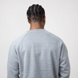 The North Face Evolution Crew Sweatshirt for Men in Grey