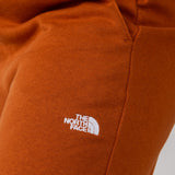 The North Face Evolution Pant for Women in Earthen Copper 