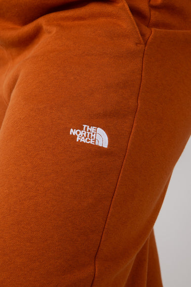 The North Face Evolution Pant for Women in Earthen Copper 