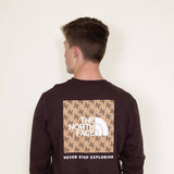 The North Face Long Sleeve Box NSE T-Shirt for Men in Brown