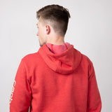 Carhartt Loose Fit Graphic Hoodie for Men in Apple