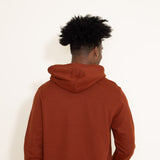 North Face Heritage Patch Hoodie for Men in Brown