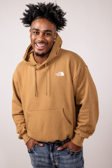 The North Face Evolution Vintage Hoodie for Men in Brown