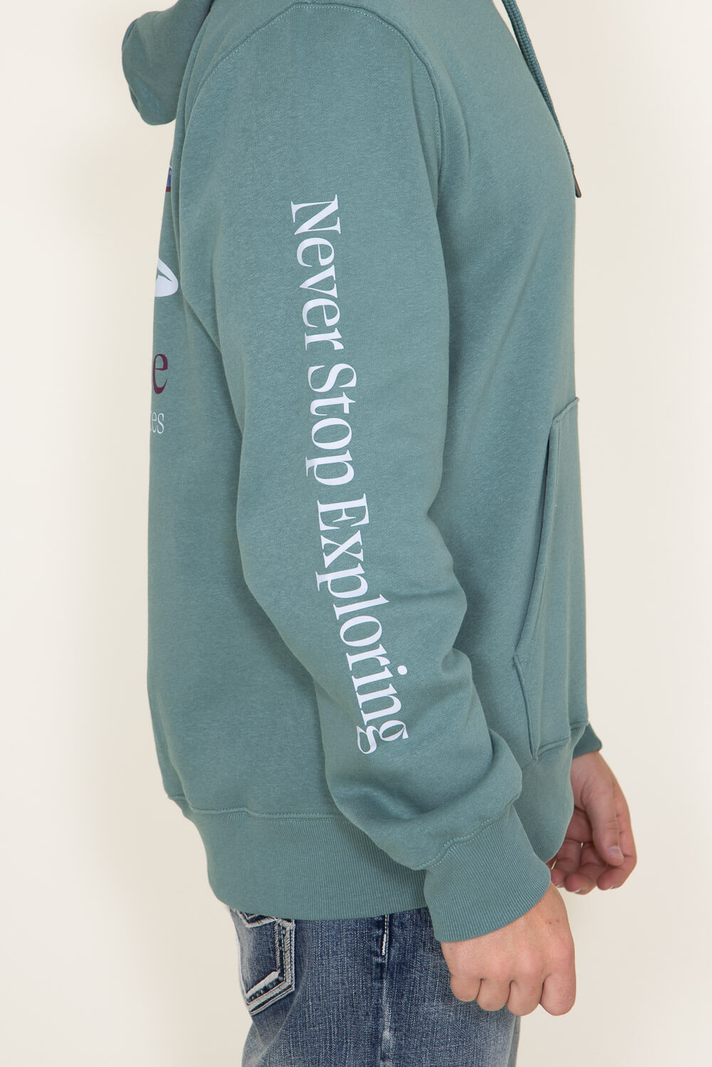 Mint green north online face hoodie