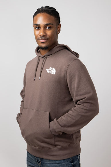 The North Face Suspended Hoodie for Men in Brown