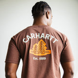 Carhartt Relaxed Fit Lightweight Pocket Tree T-Shirt for Men in Brown