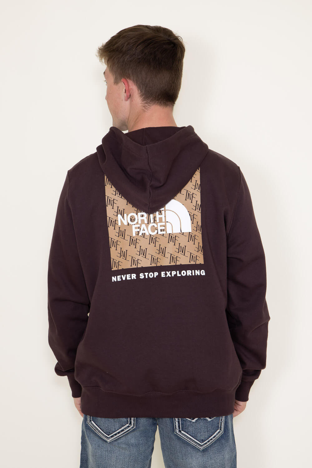 The North Face Box NSE Pullover Hoodie for Men in Brown | NF0A7UNS