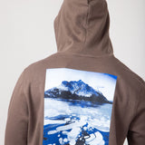 The North Face Suspended Hoodie for Men in Brown