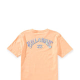 Billabong Youth Throwback T-Shirt for Boys in Peach