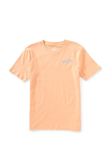 Billabong Youth Throwback T-Shirt for Boys in Peach