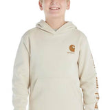 Boys carhartt outlet sweatshirt