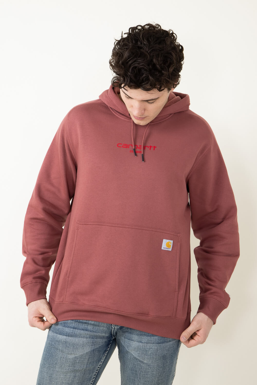 Carhartt Relaxed Fit Fleece Pullover for Men in Brown