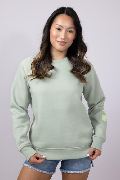 Carhartt Graphic Sweatshirt for Women in Sage Heather