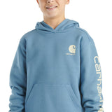 Carhartt Kids Graphic Hoodie for Boys in Coronet Blue