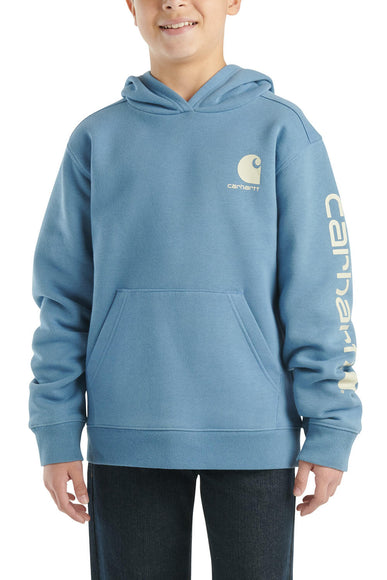 Carhartt Kids Graphic Hoodie for Boys in Coronet Blue