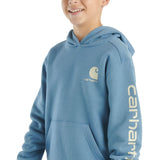 Carhartt Kids Graphic Hoodie for Boys in Coronet Blue