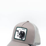 Goorin Bros Cold Cash Trucker Hat for Men in Grey