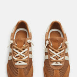 Steve Madden Verdict Sneakers for Women in Tan