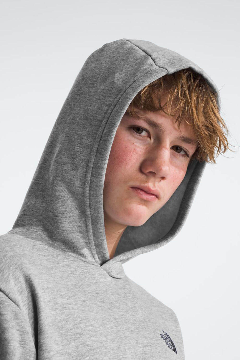 Light grey north face hoodie best sale